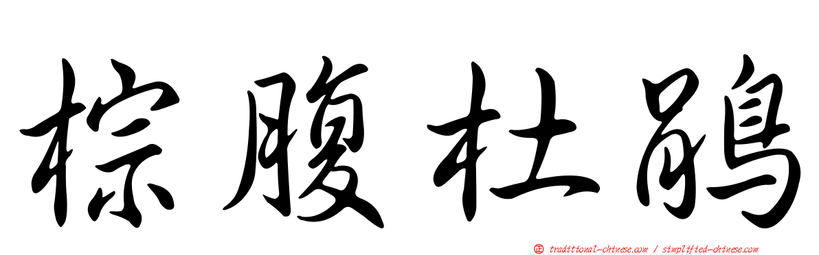棕腹杜鵑