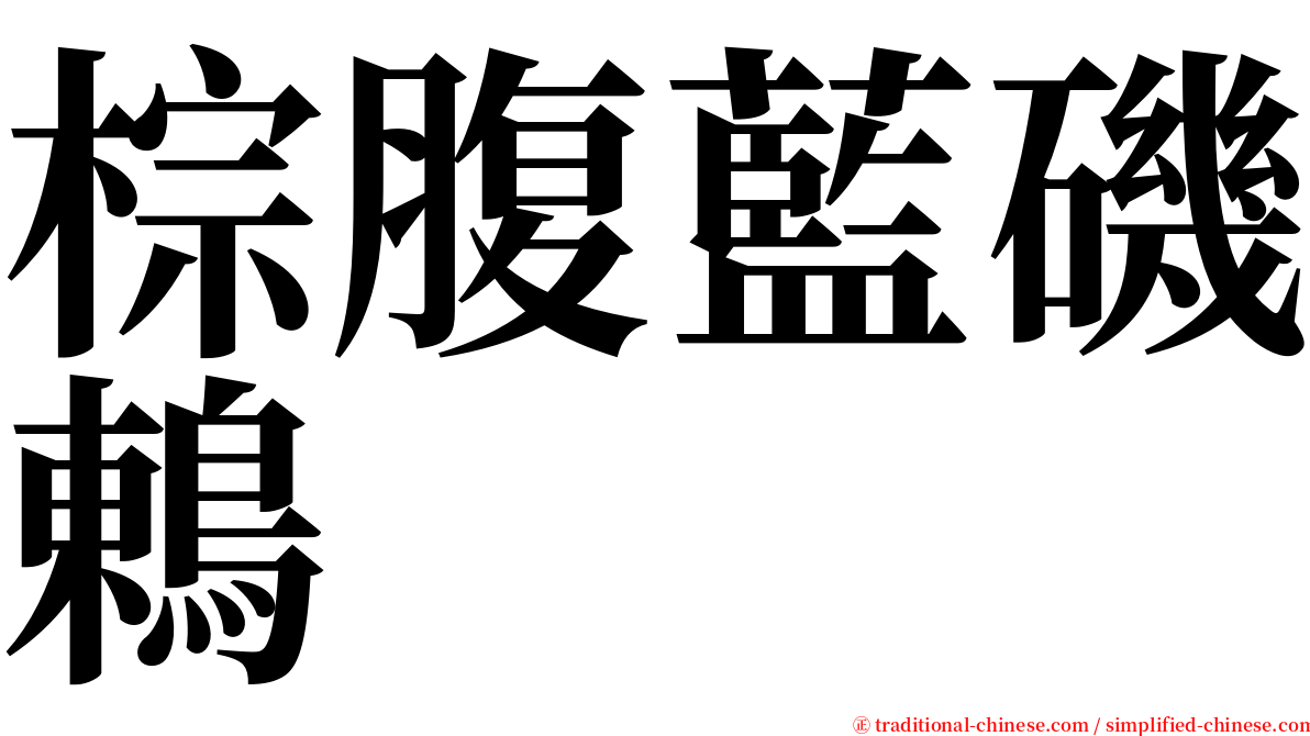 棕腹藍磯鶇 serif font