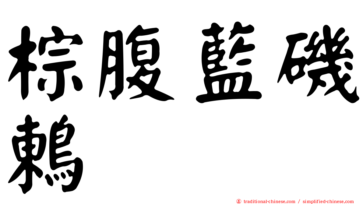 棕腹藍磯鶇