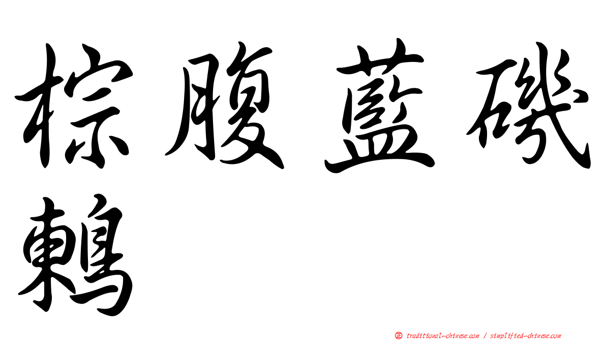 棕腹藍磯鶇
