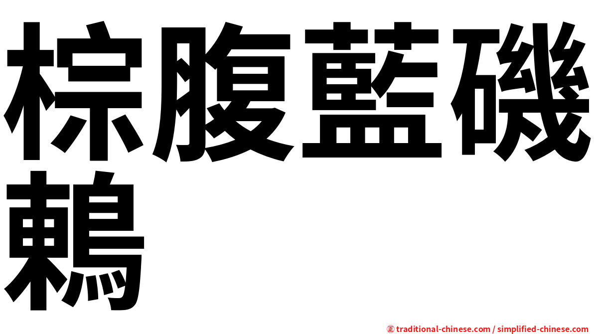 棕腹藍磯鶇