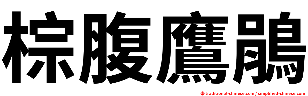 棕腹鷹鵑