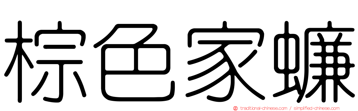 棕色家蠊