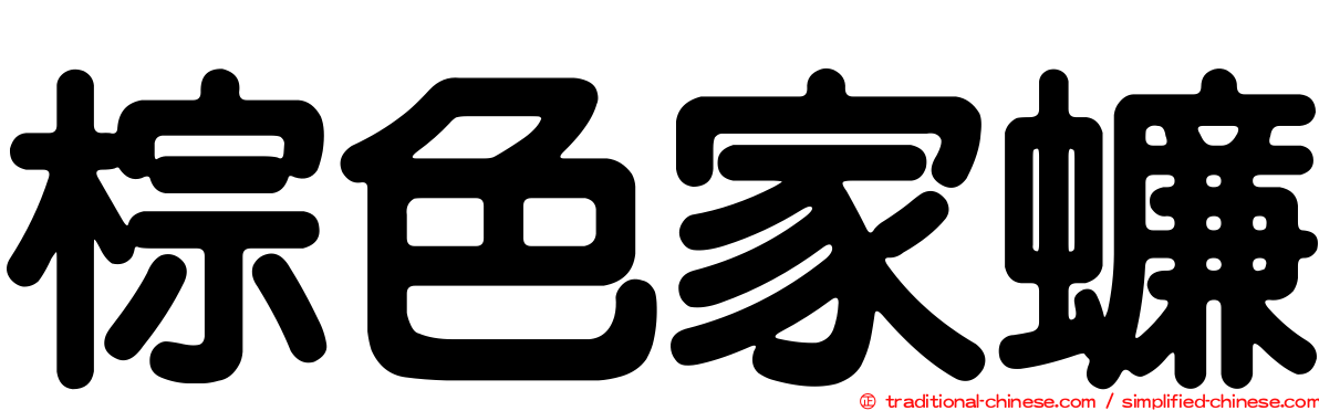 棕色家蠊