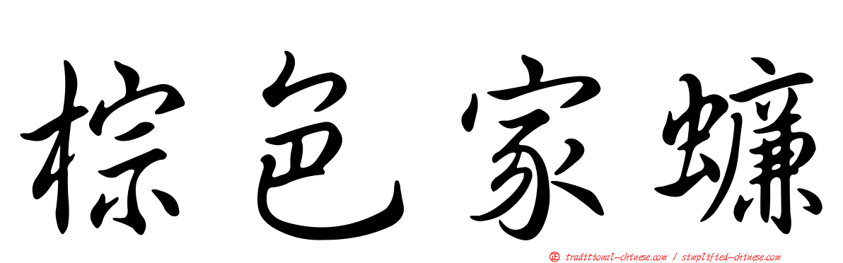 棕色家蠊