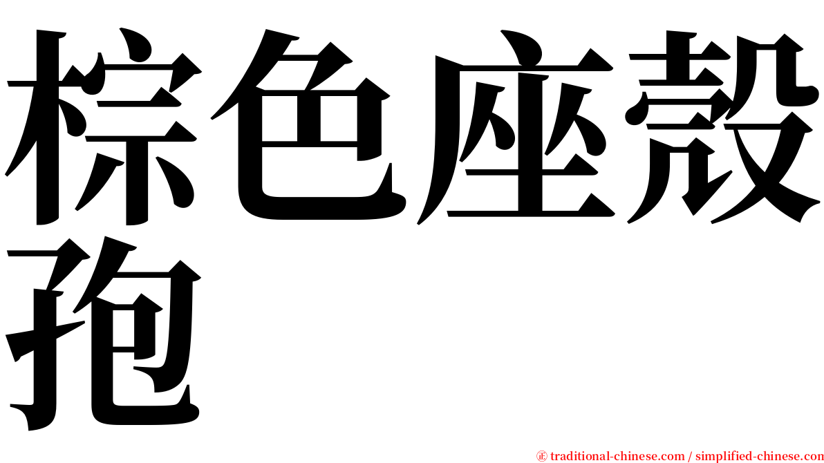 棕色座殼孢 serif font