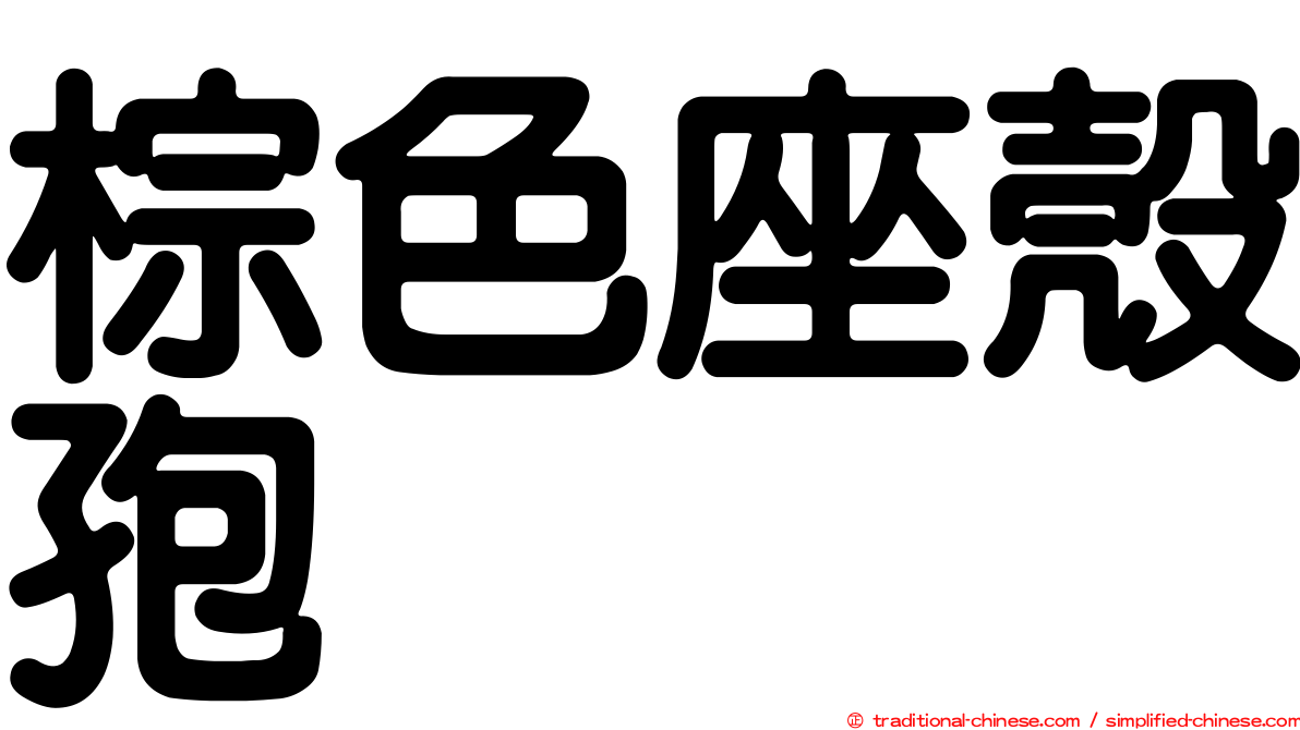 棕色座殼孢