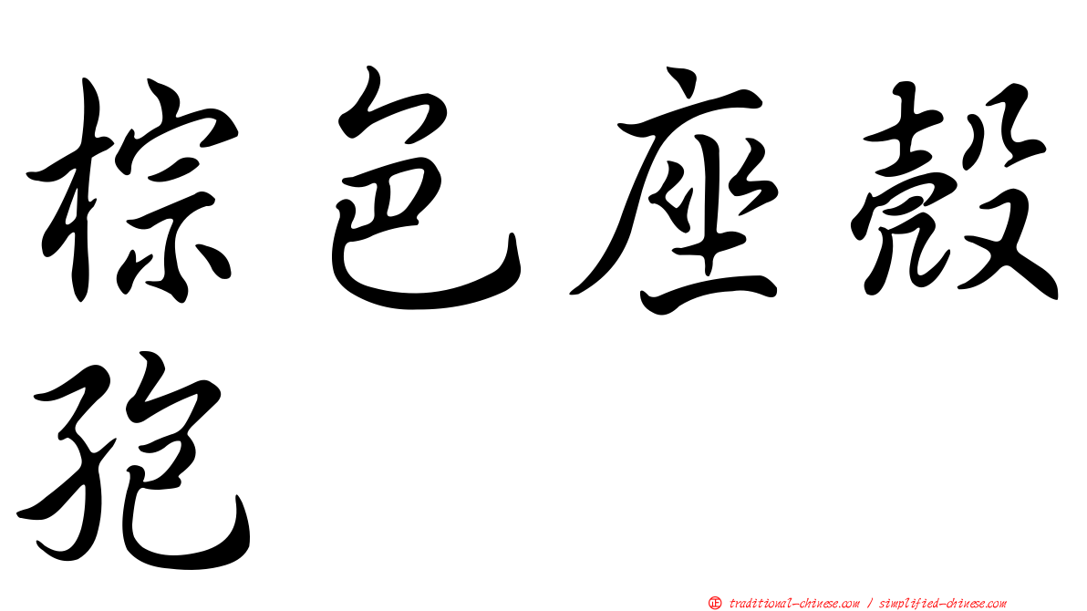 棕色座殼孢
