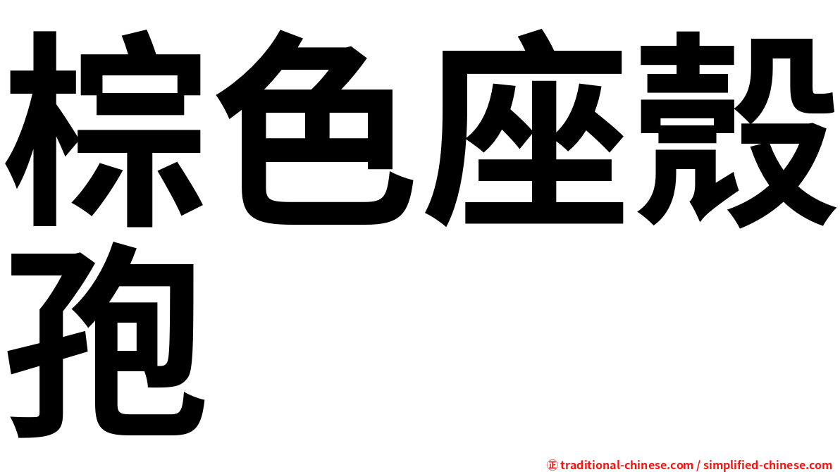 棕色座殼孢