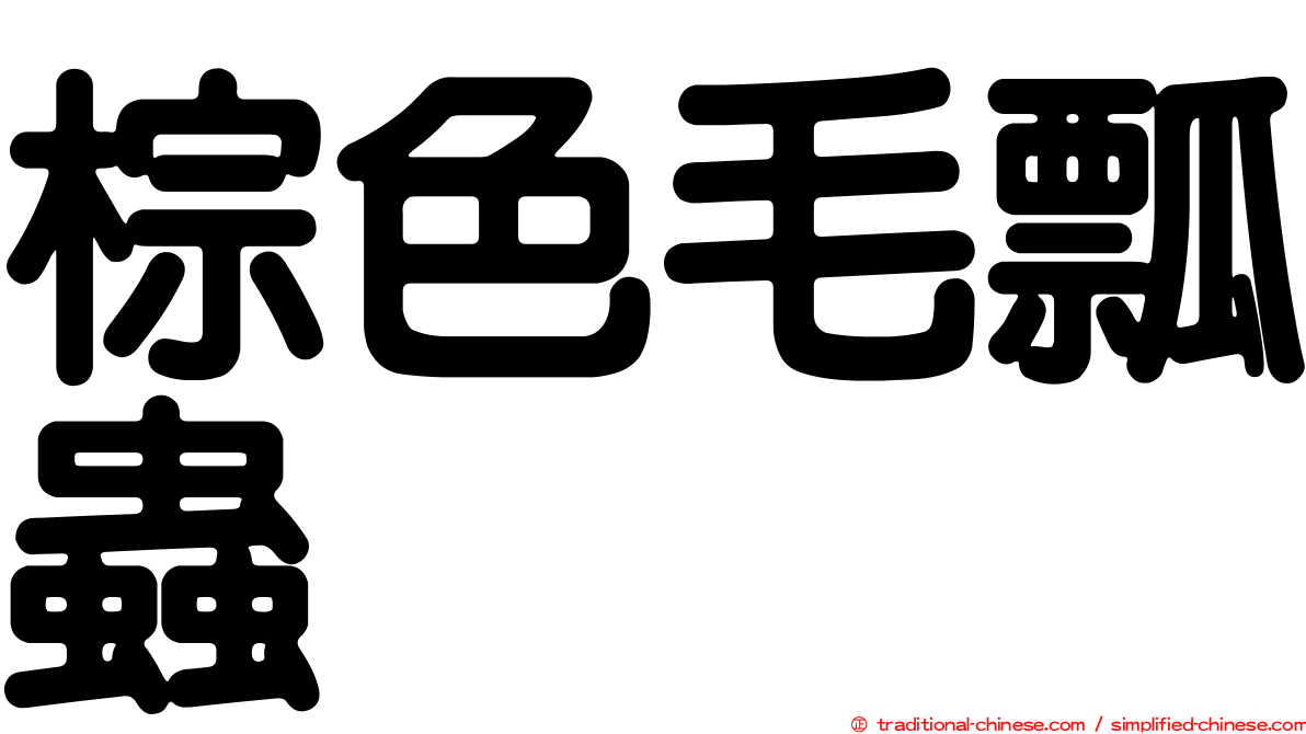 棕色毛瓢蟲