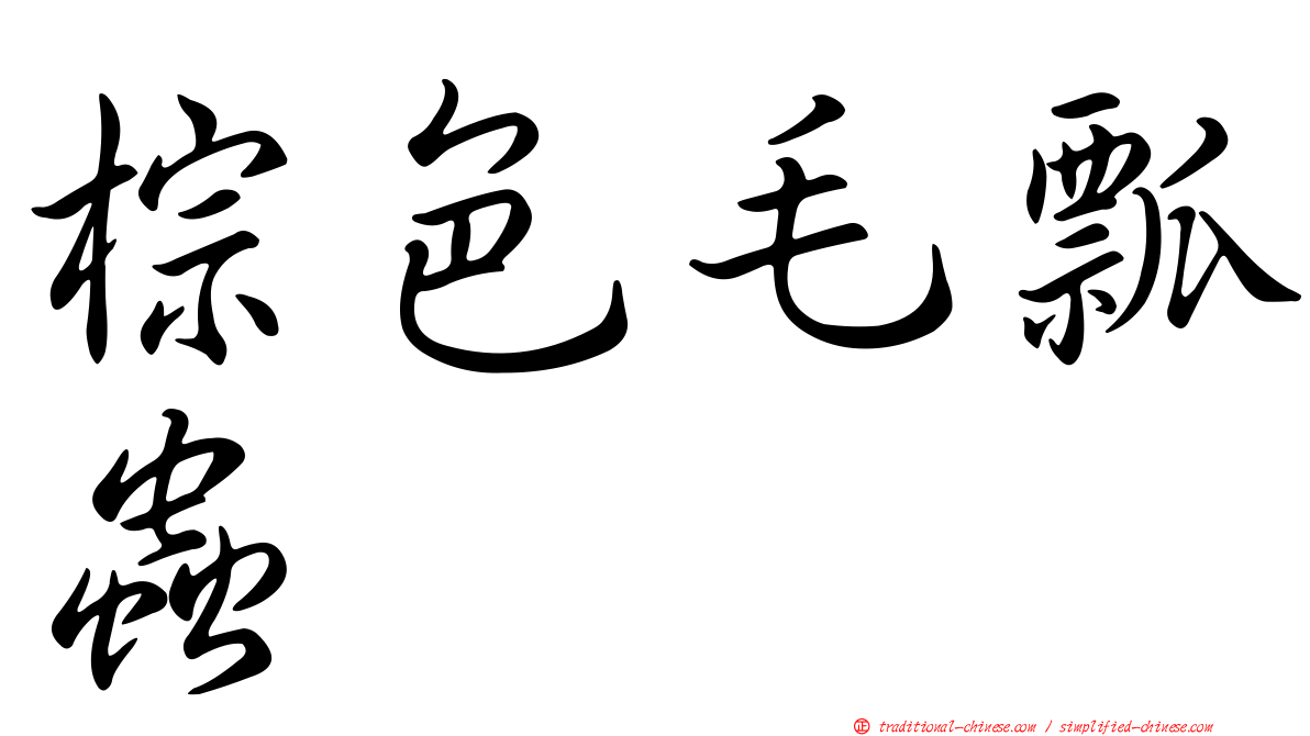 棕色毛瓢蟲