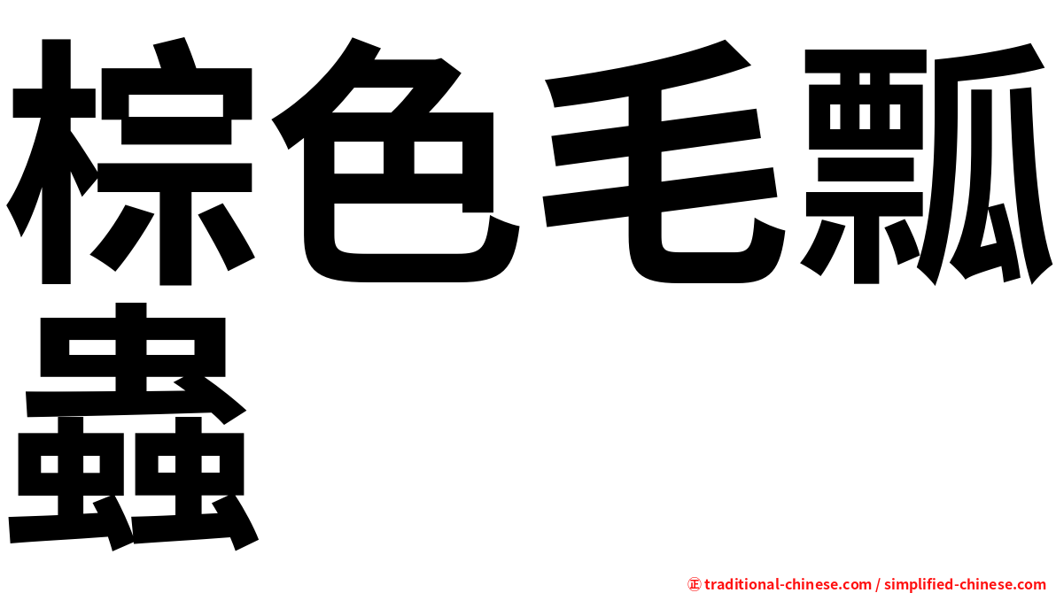 棕色毛瓢蟲