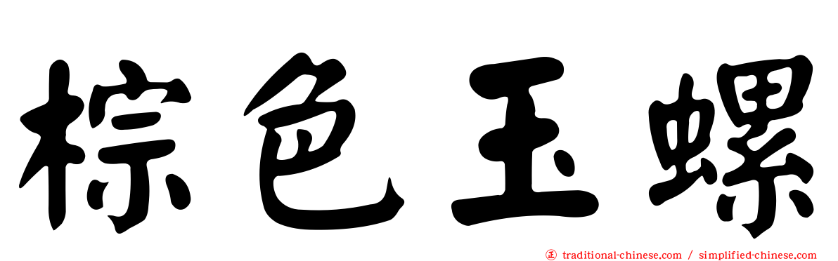 棕色玉螺