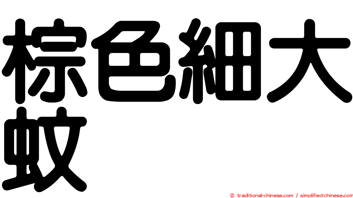 棕色細大蚊