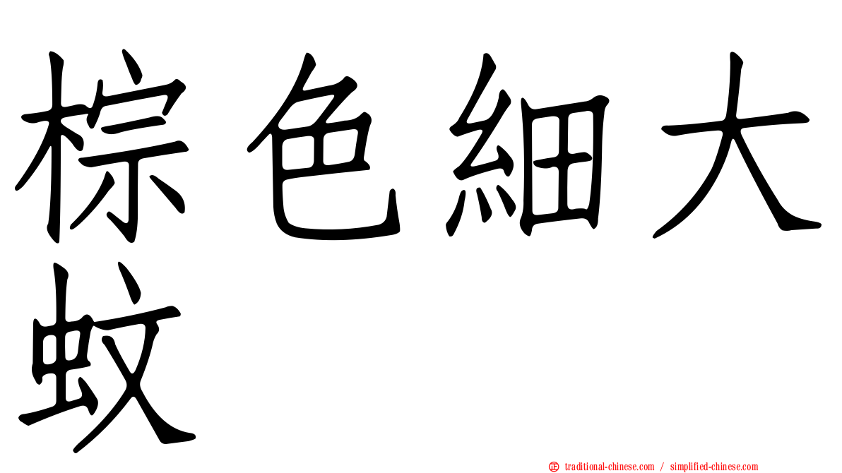 棕色細大蚊