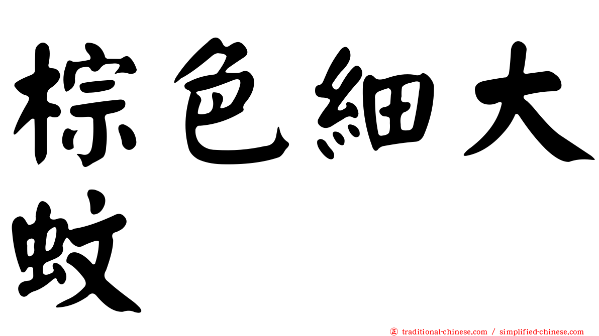 棕色細大蚊