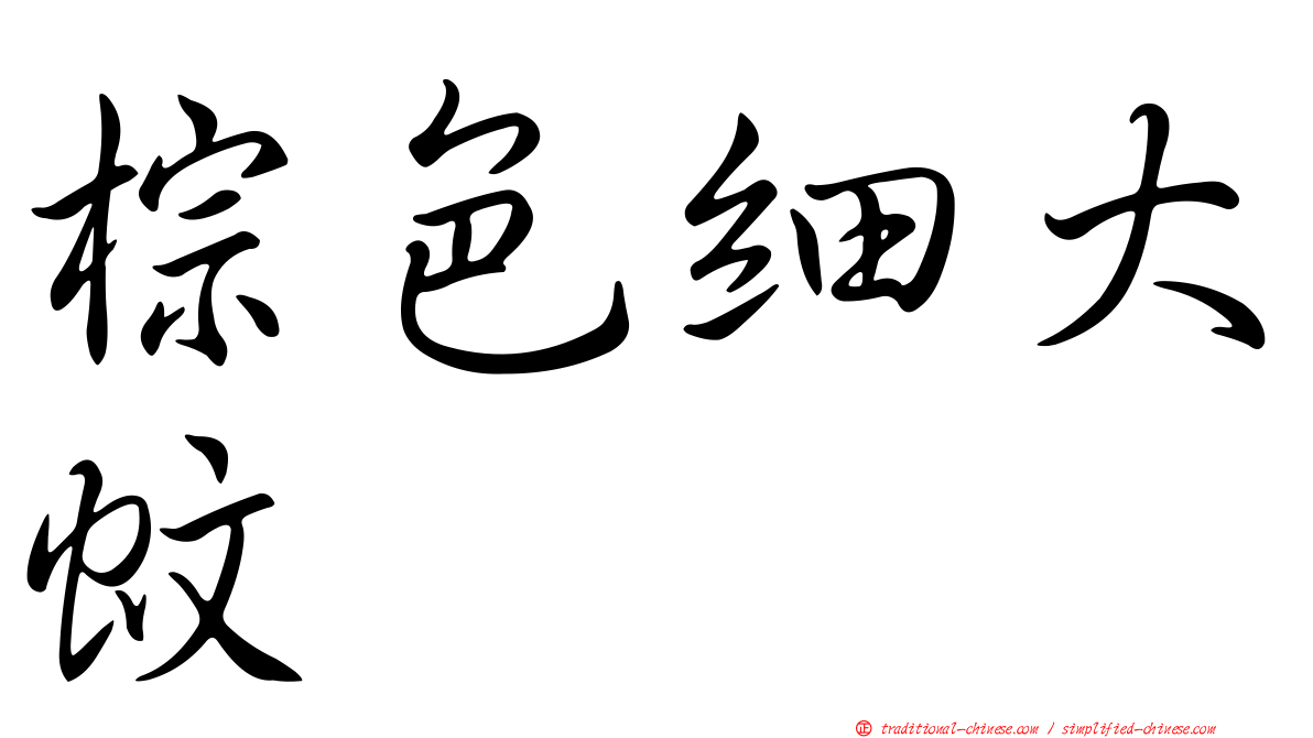 棕色細大蚊