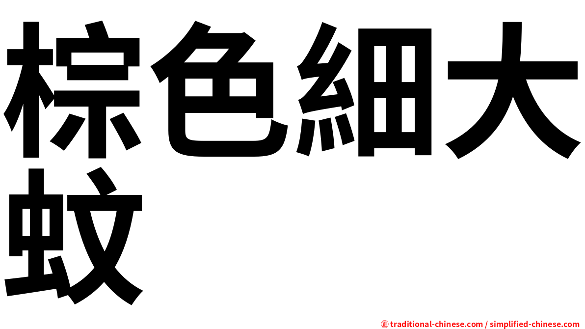 棕色細大蚊