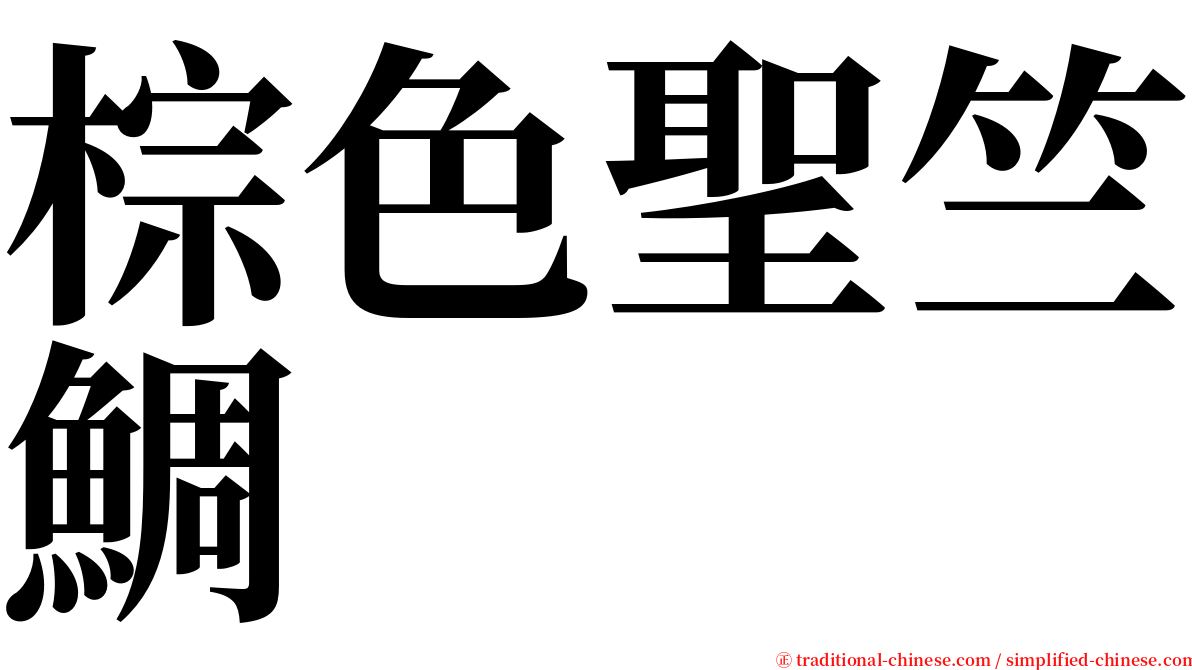 棕色聖竺鯛 serif font