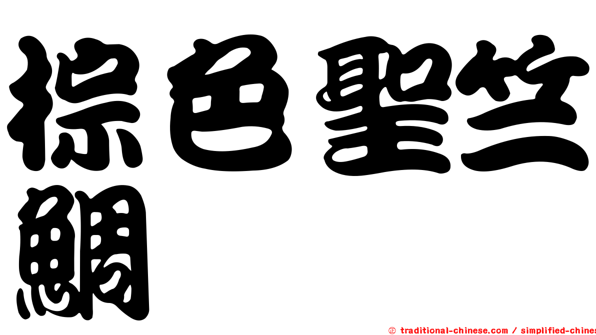 棕色聖竺鯛