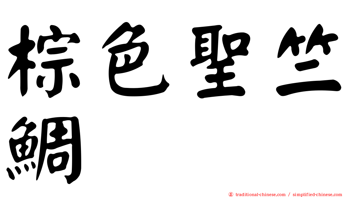 棕色聖竺鯛