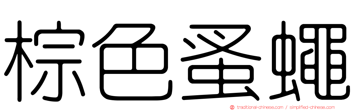 棕色蚤蠅