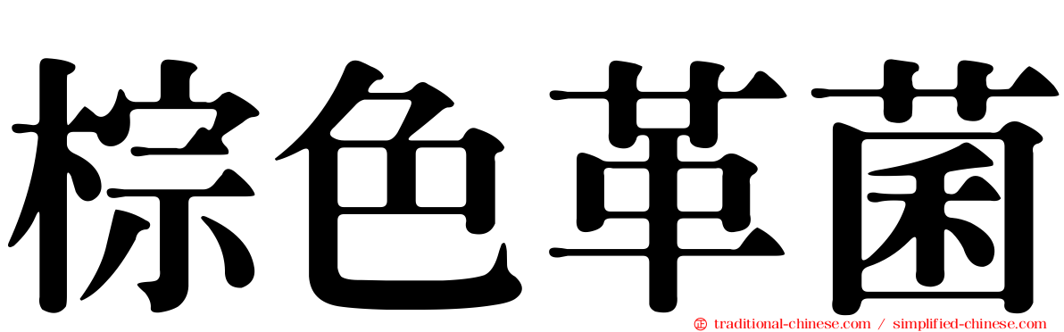 棕色革菌