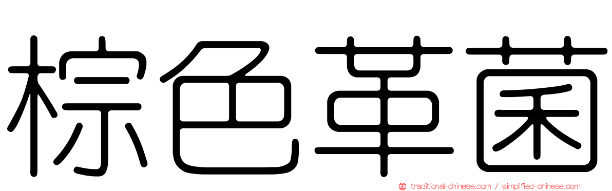 棕色革菌