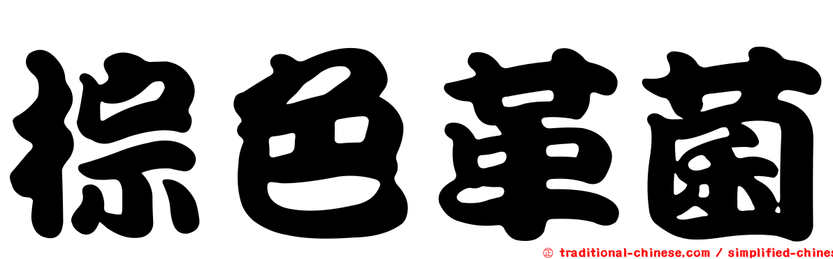 棕色革菌
