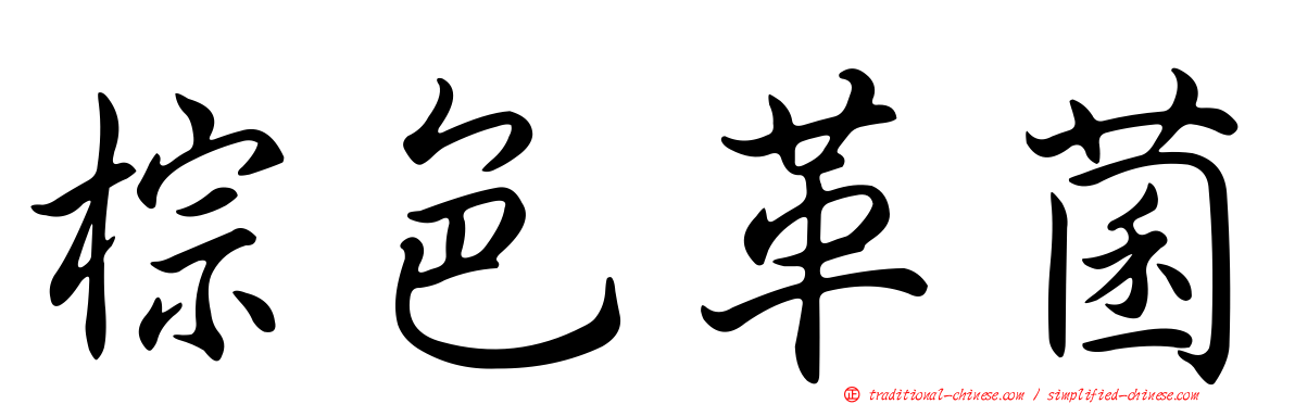 棕色革菌
