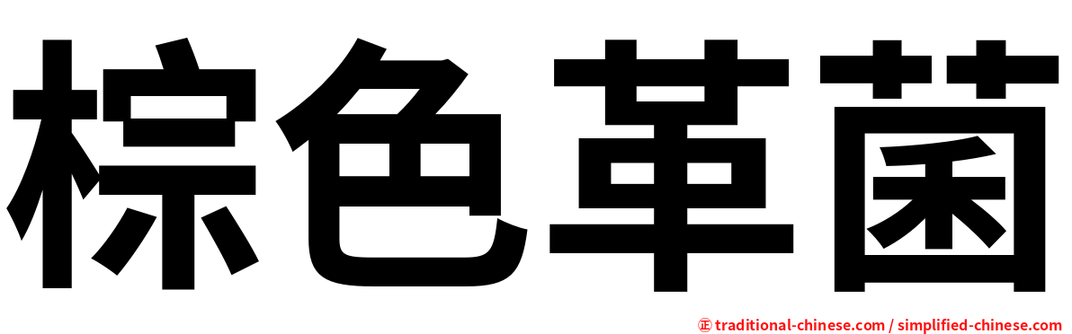 棕色革菌