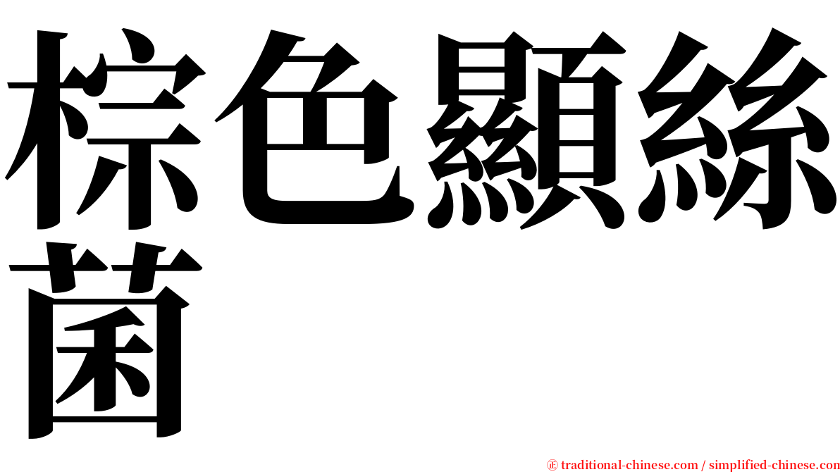棕色顯絲菌 serif font