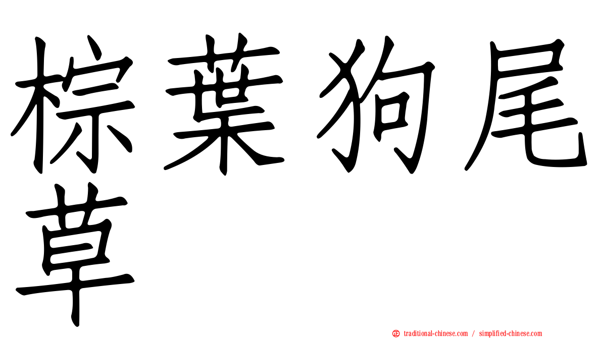 棕葉狗尾草