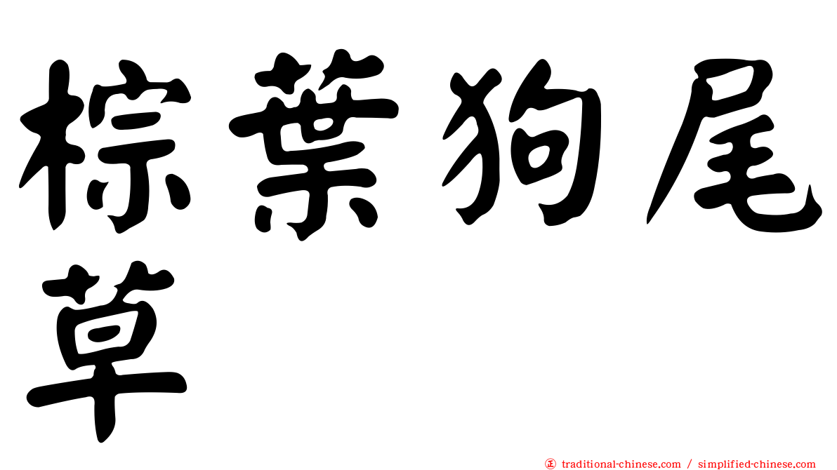 棕葉狗尾草