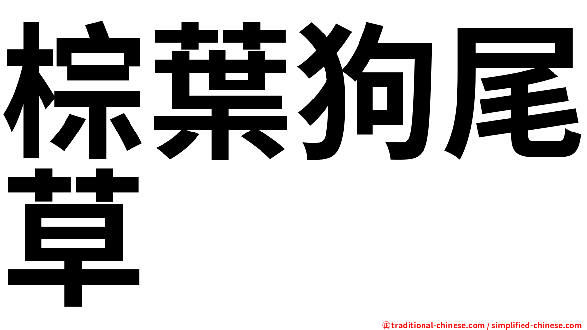 棕葉狗尾草