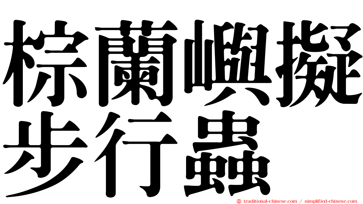 棕蘭嶼擬步行蟲