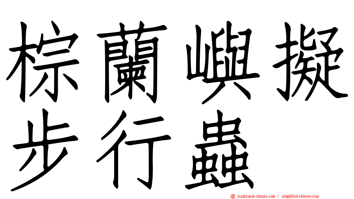 棕蘭嶼擬步行蟲