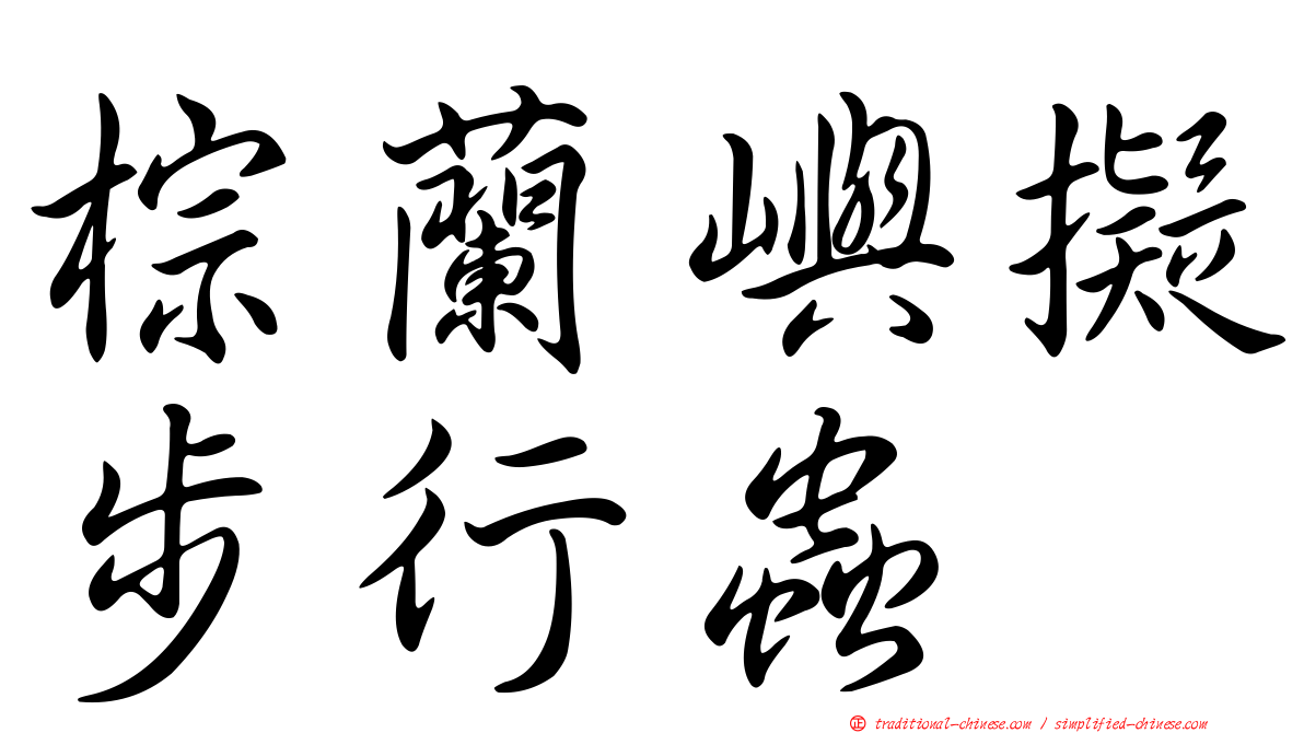 棕蘭嶼擬步行蟲