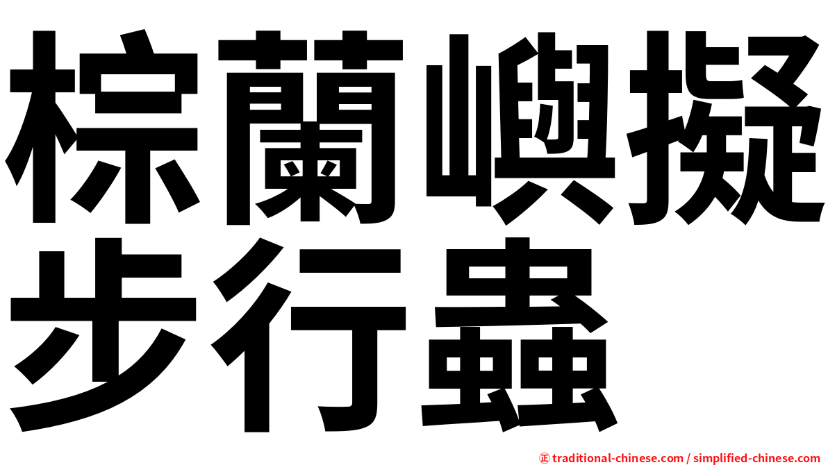 棕蘭嶼擬步行蟲