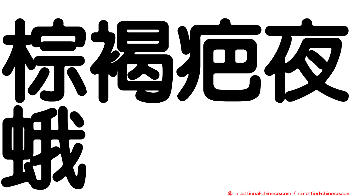 棕褐疤夜蛾