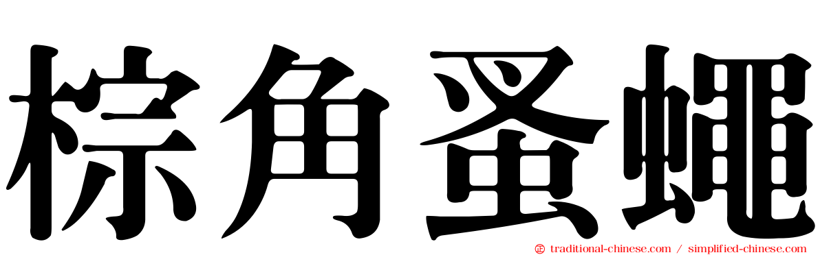 棕角蚤蠅