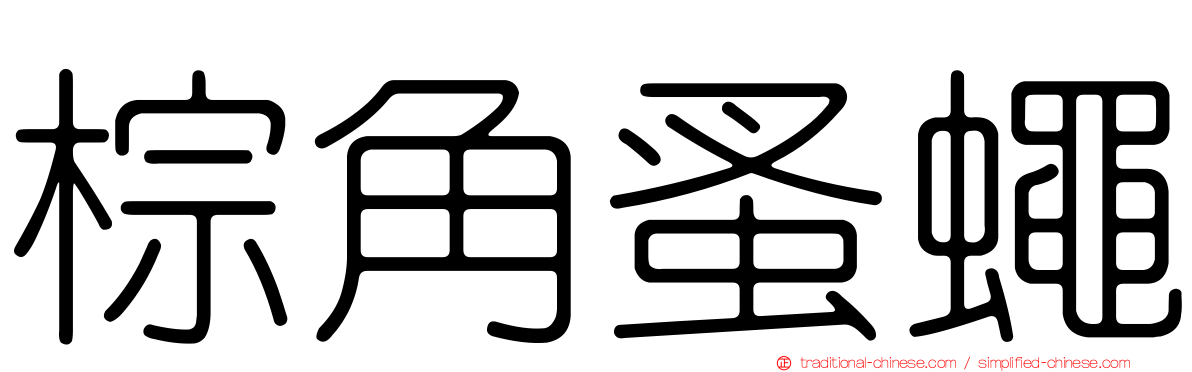 棕角蚤蠅