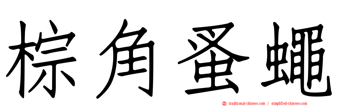 棕角蚤蠅