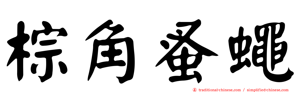 棕角蚤蠅