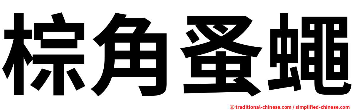 棕角蚤蠅