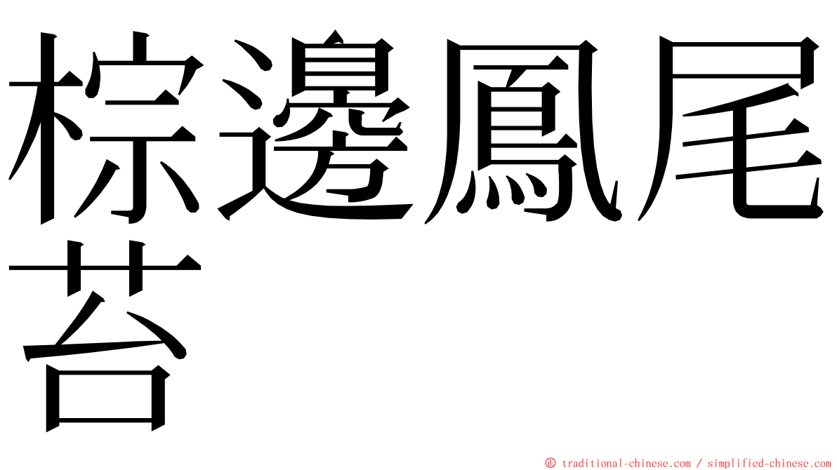 棕邊鳳尾苔 ming font