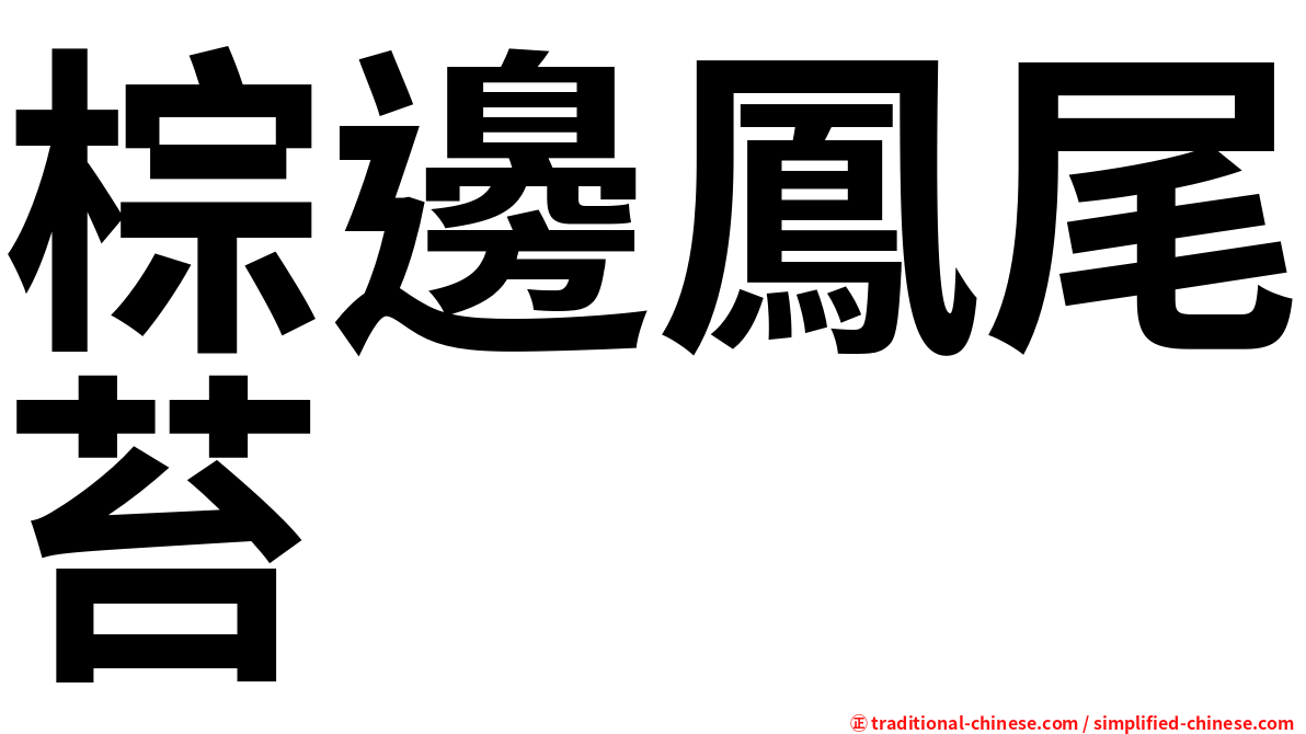 棕邊鳳尾苔