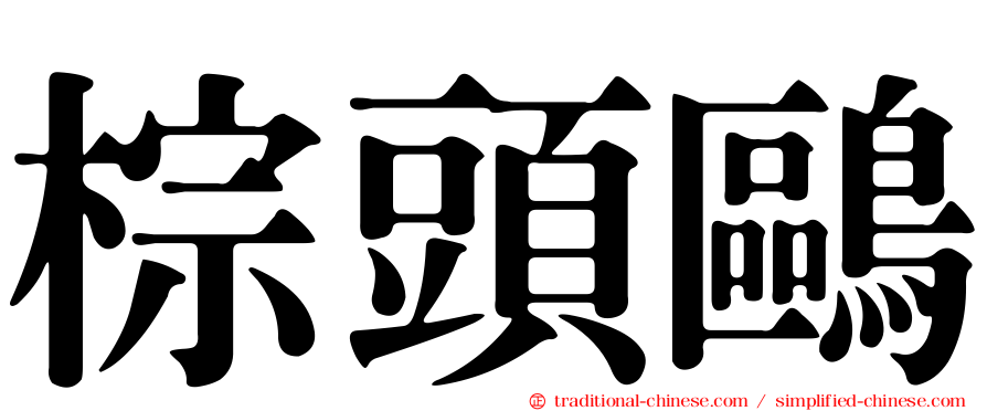 棕頭鷗