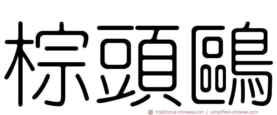 棕頭鷗