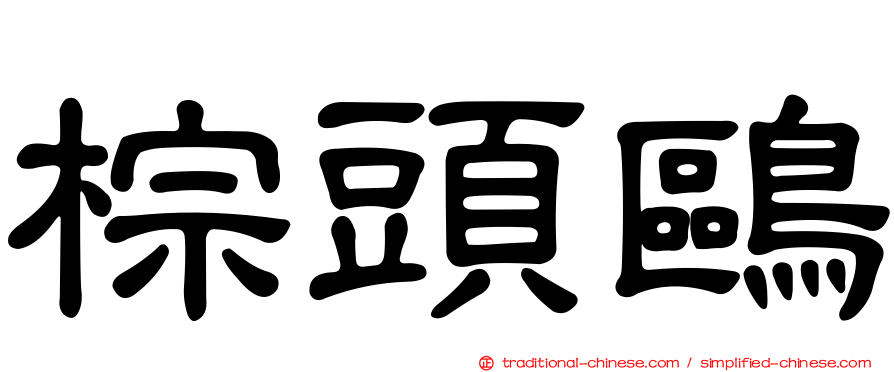 棕頭鷗